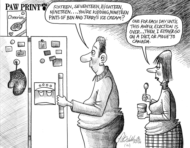 PETER WALDNER CARTOON