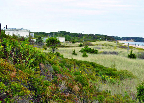 Plum Island