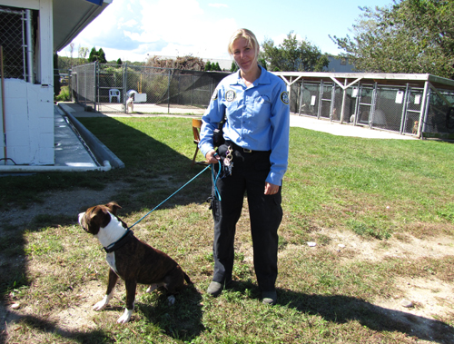 Riverhead ACO gets mauled Riverhead, ACO, Animal Shelter, Mauled, pit bull