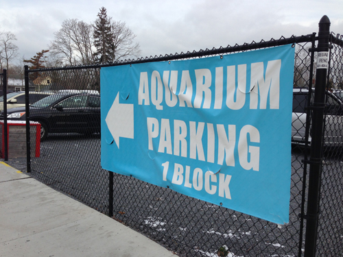 Aquarium parking Riverhead robbery