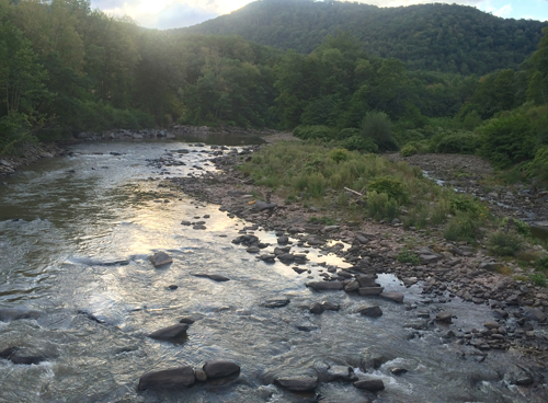 Credit: Joseph Pinciaro