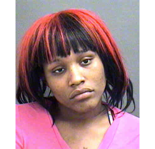 Amityville arrest SCPA Riverhead puppies Swaneka Danzler