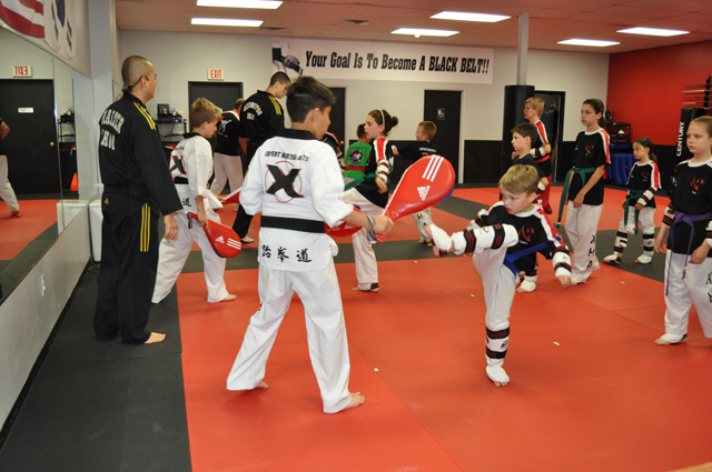 Expert_Martial_Arts-1