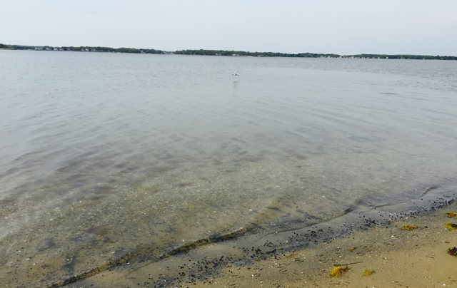 A view of Flanders Bay Saturday afternoon. (Credit: Rachel Young)