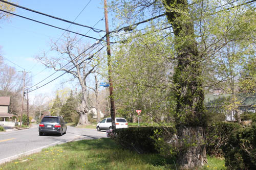 IMG_ BETH YOUNG PHOTO | Two drivers were taken to Peconic Bay Medical Center Thursday morning after an accident at the intersection of Sound Ave. and Route 105 in Northville.1438 BETH YOUNG PHOTO | Two drivers were taken to Peconic Bay Medical Center Thursday morning after an accident at the intersection of Sound Ave. and Route 105 in Northville.