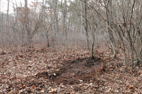 Manorville remains found Gilgo Beach murders