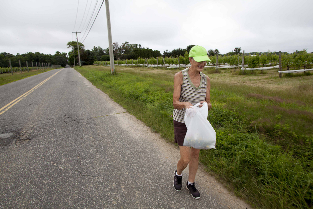 (Credit: Chris Lisinski)