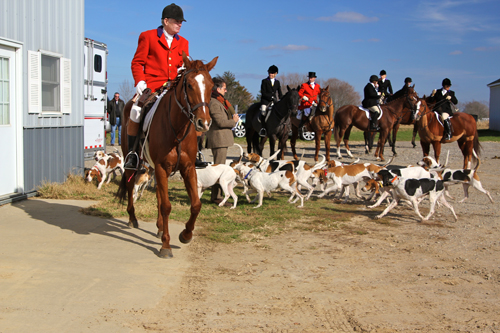 IMG_7466 Smithtown Hunt Club's opening hunt Nov. 18, 2012