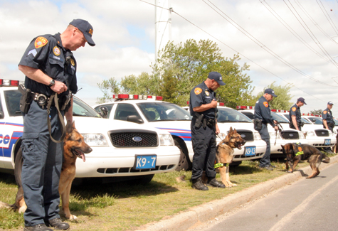 Suffolk police dogs