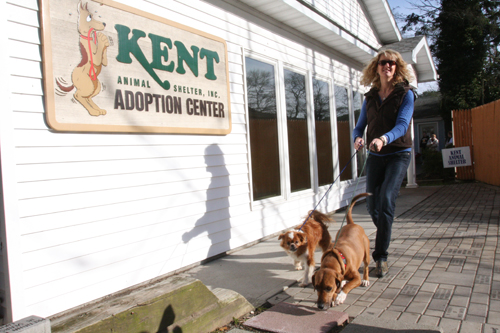 Kent Shelter