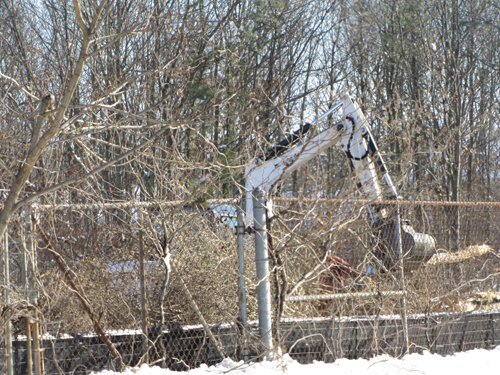 Tim Gannon photo | Clearing at Knightland started this week
