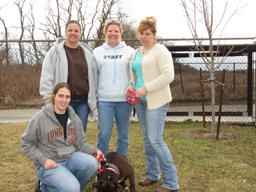 NFAWL at Town HSelter