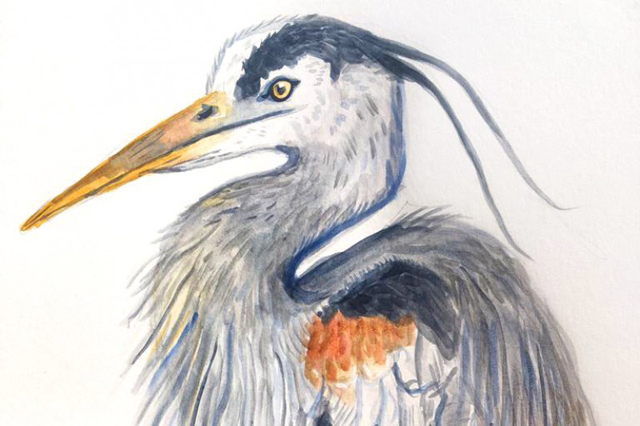 Illustration by Holly Williams.