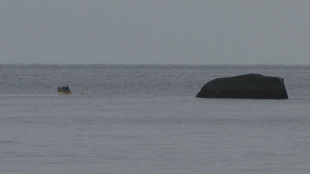 Plane_Crash_Shoreham_1211