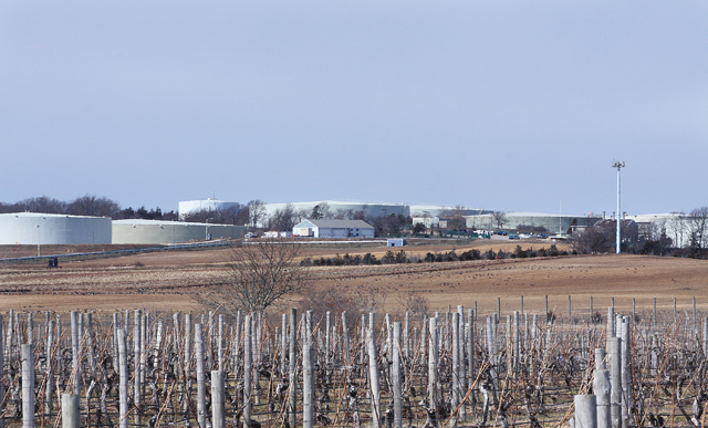 The United Riverhead Terminal petroleum storage tanks as seen from Palmer Vineyards in Aquebogue. (Credit: Barbaraellen Koch)