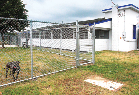 BARBARAELLEN KOCH FILE PHOTO | Riverhead Town's animal control building on Youngs Avenue. 