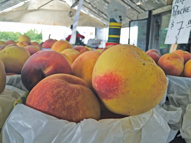 R0929_Peach2_ps_C