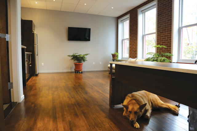 (Credit: Krysten Massa)