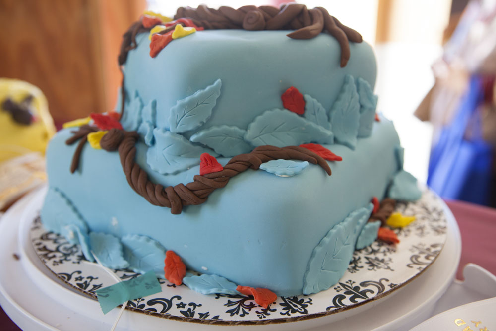 RHD_Country_Fair_ss_04