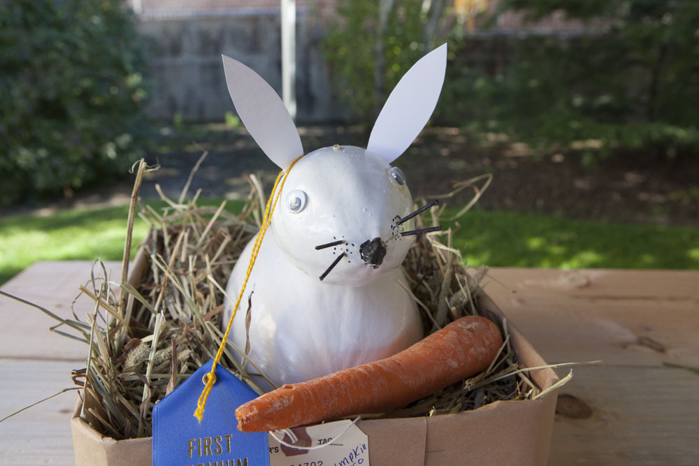 RHD_Country_Fair_ss_07