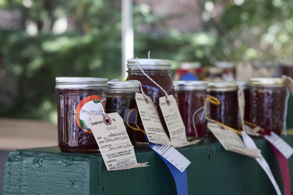 RHD_Country_Fair_ss_08