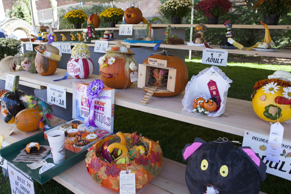 RHD_Country_Fair_ss_09