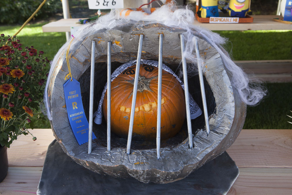 RHD_Country_Fair_ss_10