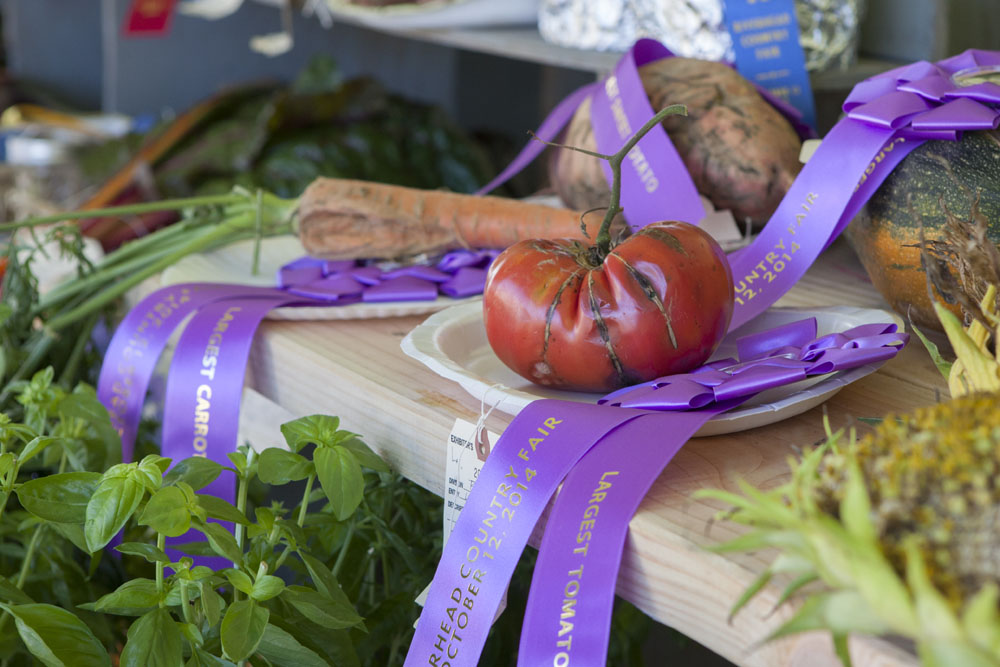 RHD_Country_Fair_ss_13