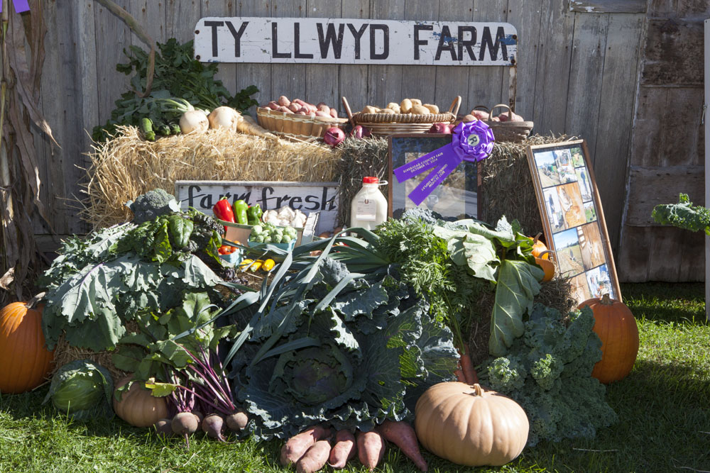 RHD_Country_Fair_ss_14