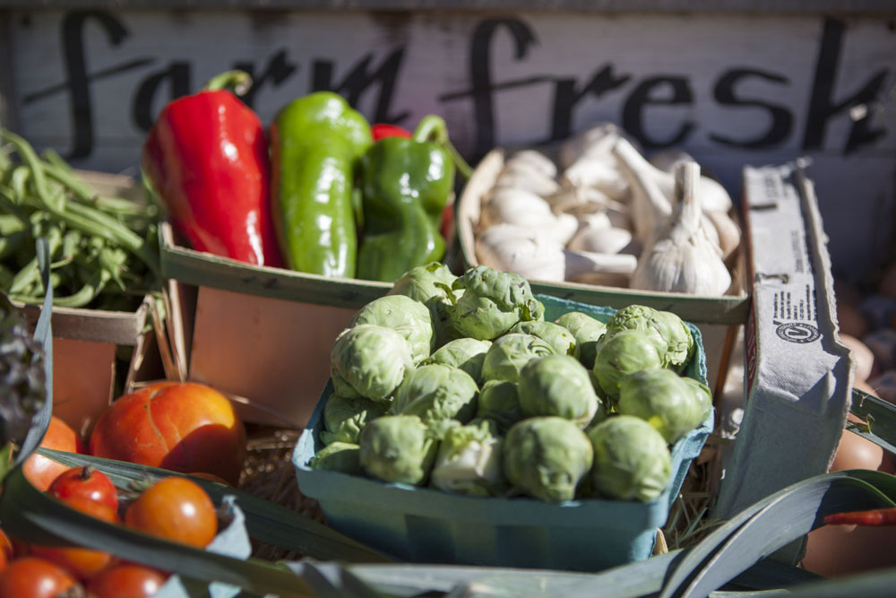 RHD_Country_Fair_ss_15