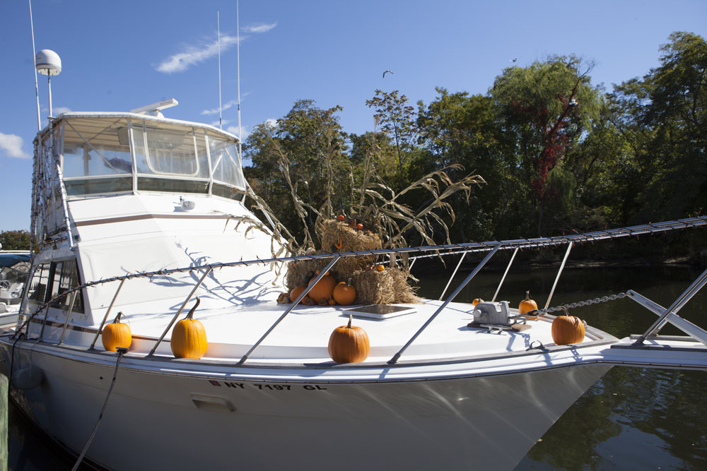 RHD_Country_Fair_ss_25