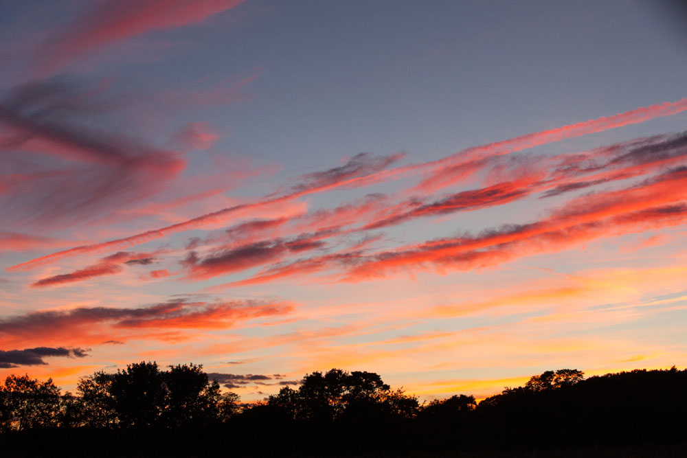 Reeves_Pk_Memorial_ss_23