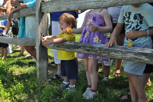 Luke Murphy, 19 months, of Babylon clutched a rubber duck keychain and a chocolate chip cookie as he watched the second annual Rubber Duck Race in Flanders Saturday. (Rachel Young photos)