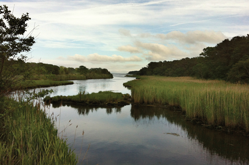 A view of Terry's Creek from Hubbard Avenue. (Credit: Tim Gannon)