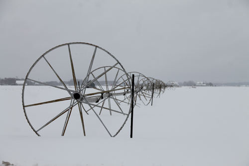 Snow covers a farm on Sound Avenue in February. (Credit: Paul Squire)