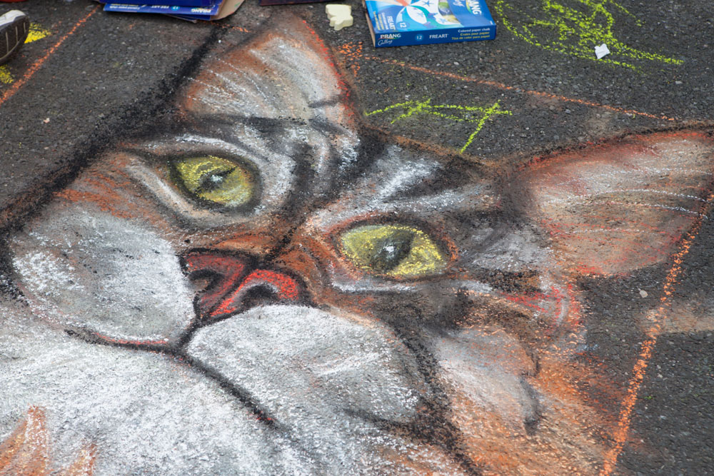 A cat painting by Joanne McGiveron of East Patchogue.