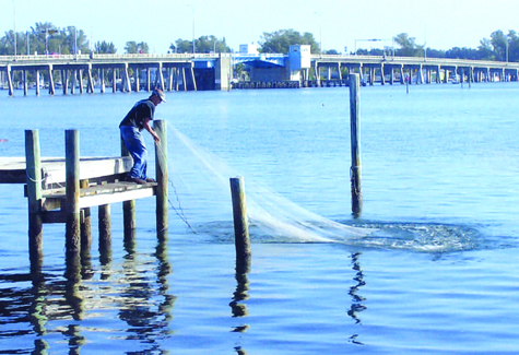 Cast netting is a method universally used to catch fish. I can remember watching natives using them in New Guinea when I was in the service.
