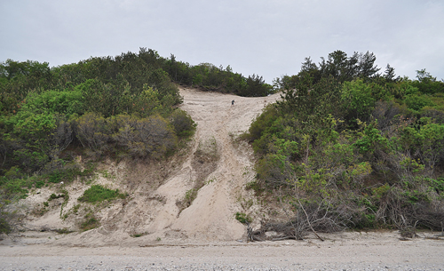 A man scales a bluff 50 yards to the east of where, the night before, a Lake Grove teen was killed in a tragic fall. (Credit: Grant Parpan)