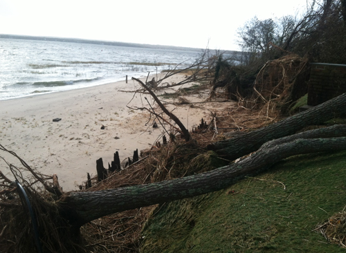 Hurricane Sandy in Aquebogue Hurricane Sandy, Aquebogue, Jamesport