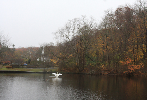 WR Duck Ponds2 2