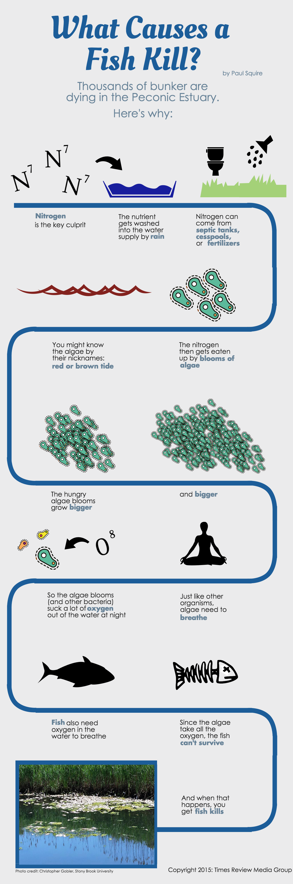 What Causes a  Fish Kill- (3)