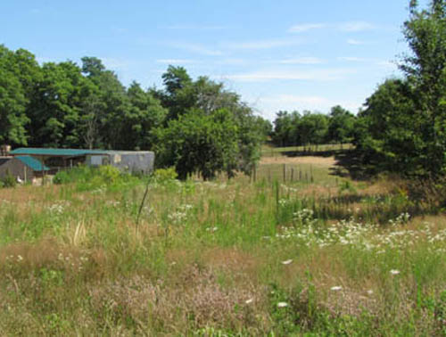NEWS-REVIEW FILE PHOTO | Land on which a cat shelter is planned in Calverton.