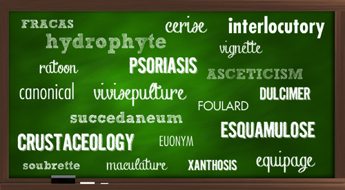 Words in next month's spelling bee at Jamesport Meeting House will range from middle-school difficulty through adult level. Above are winning words from the National Spelling Bee. (Credit: Danielle Doll)