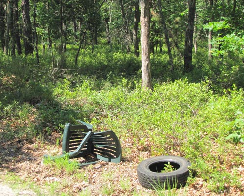 garbage TIM GANNON PHOTO | Garbage dumped in woods along Oak Avenue in Flanders.