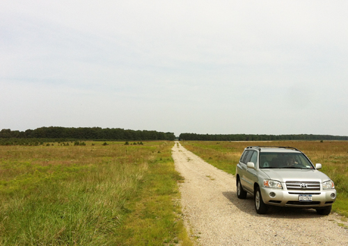 TIM GANNON PHOTO | Riverhead Town's planned bike path would run south from Route 25 along Line Road (above) before reaching an area near River Road.
