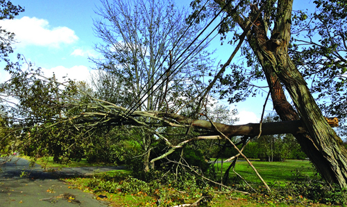 PAUL SQUIRE FILE PHOTO