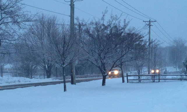 Snow falling in Wading River Saturday night. (Credit: Joe Werkmeister)