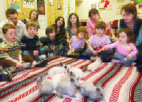Sadie Jaffe, 3, of Riverhead, seated with her mother, Amie Kennedy, reaches out to touch a baby rabbit at Riverhead Free Library's 'Bunnies, Bunnies, Bunnies' event Friday afternoon. The 3 1/2-week-old bunnies were brought by educator Judy Wilson of Benners Farm in Setauket.
