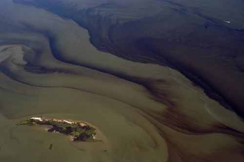 Bill Portlock Courtesy Photo | Rust tide in the Peconic estuary last year.