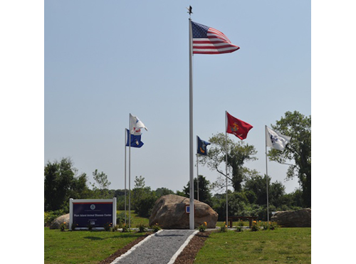 CYNDI MURRAY PHOTO | Wild geese can be seen walking throughout Plum Island, including outside the administration building, where the U.S. Department of Agriculture's Animal Disease Center research takes place.